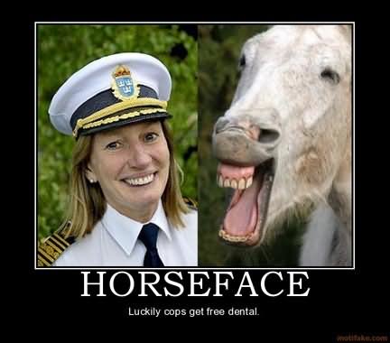 Luckily Cops Get Free Dental Funny Horse Face Poster