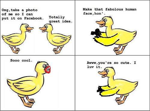 Make That Fabulous Human Face Hon Funny Duck Meme Picture