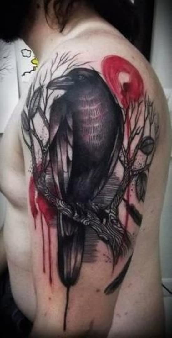 Man Left Half Sleeve Raven Tattoos