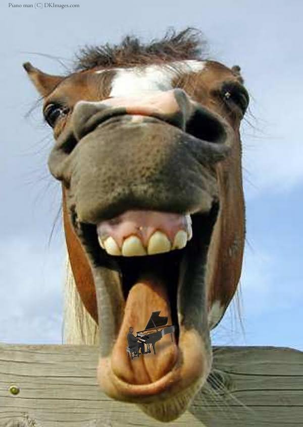 Man Playing Piano Under Horse Face Funny Photoshop Image For Whatsapp