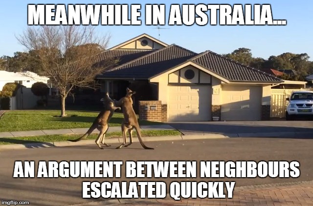 Meanwhile In Australia Funny Kangaroo Meme Picture