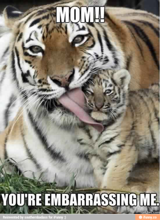 Mom You Are Embarrassing Me Funny Tiger Meme Picture For Facebook