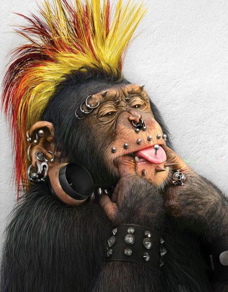 Monkey With Piercing Face Funny Image