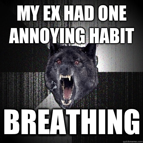 My Ex Had One Annoying Habit Funny Wolf Meme Image