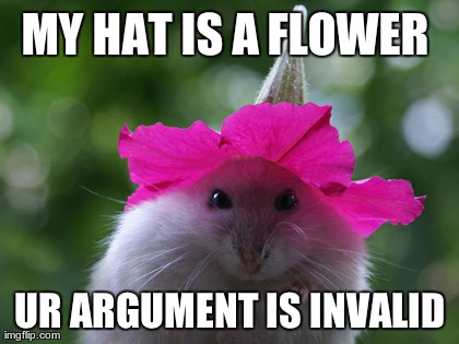 My Hat Is A Flower Ur Argument Is Invalid Funny Meme Picture