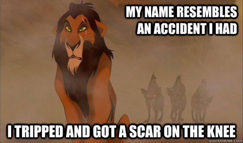 My Name Resembles An Accident I Had I Tripped And Got A Scar On The Knee Funny Lion Meme Picture