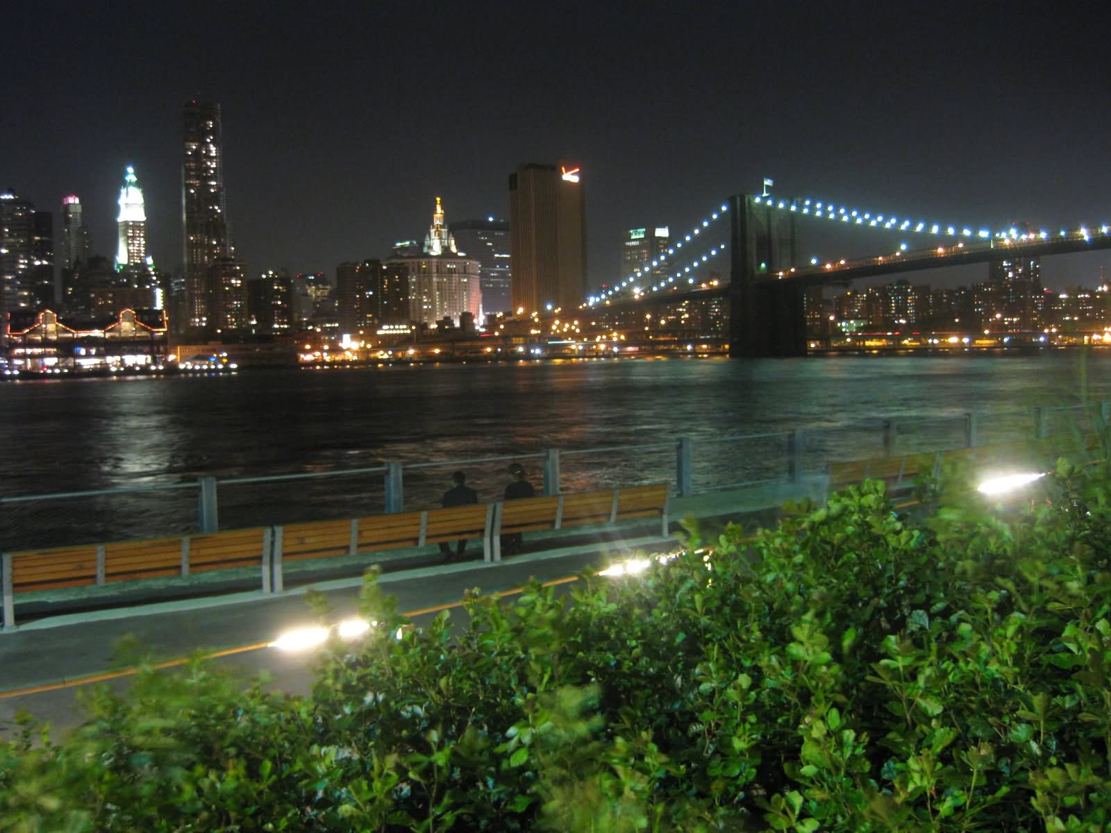 Night View Of Brooklyn Bridge From Park