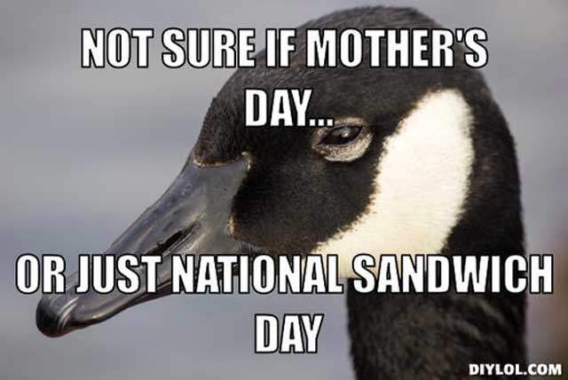 Not Sure If Mother's Day Or Just National Sandwich Day Funny Duck Meme Image