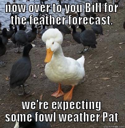 Now Over To You Bill For The Feather Forecast Funny Duck Meme Image