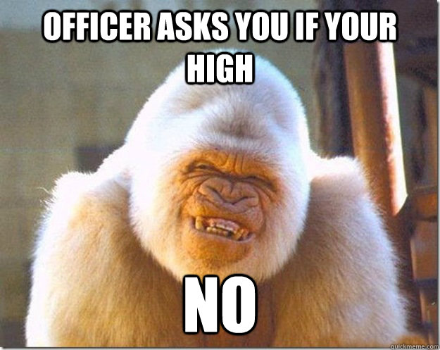 Officer Asks You If Your High No Funny Monkey Meme Image
