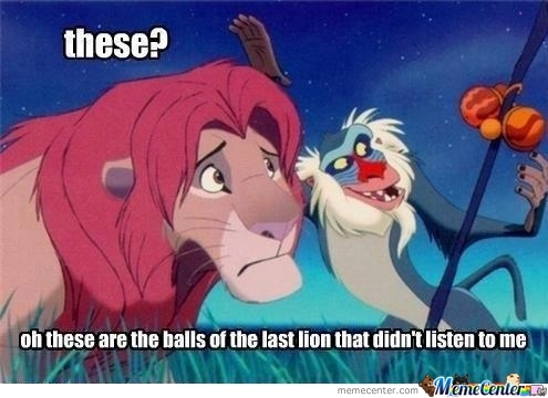 Oh These Are The Balls Of The Last Lion That Didn't Listen To Me Funny Lion Meme Picture