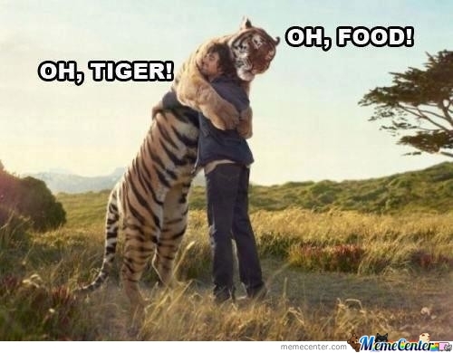 Oh Tiger Oh Food Funny Tiger Meme Image For Facebook