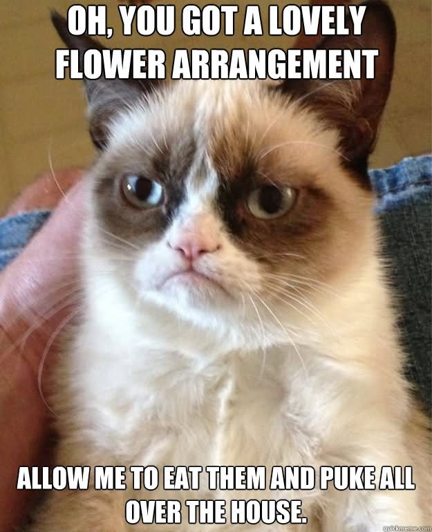 Oh You Got A Lovely Flower Arrangement Funny Meme Picture