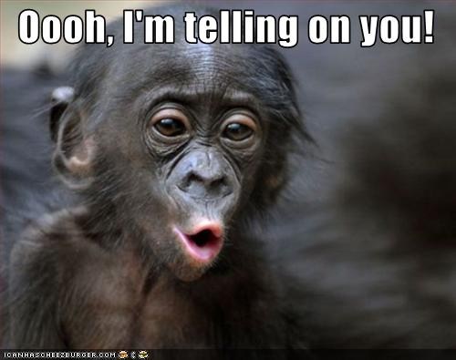 Oooh I Am Telling On You Funny Monkey Meme Image