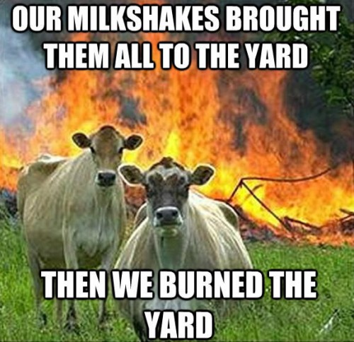 Our Milkshakes Brought Them All To The Yard Funny Cow Meme Picture