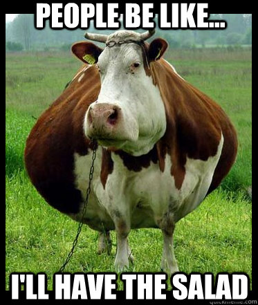 30 Very Funny Cow Meme Pictures And Images