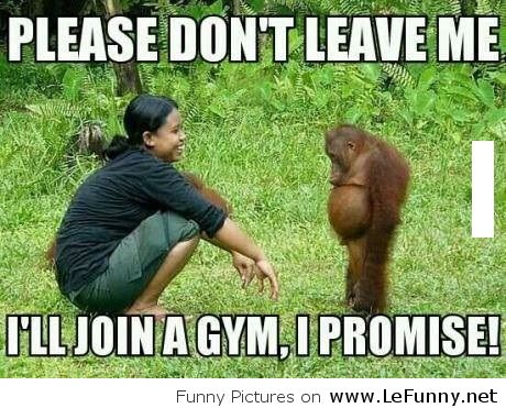 Please Don't Leave Me Funny Monkey Meme Picture
