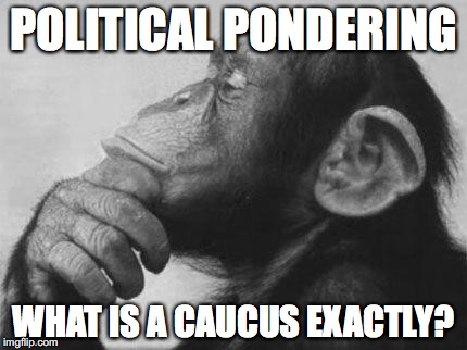 Political Pondering What Is Caucus Exactly Funny Monkey Meme Photo