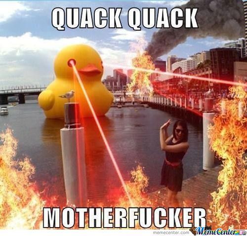 Quack Quack Motherfucker Very Funny Duck Meme Picture For Facebook