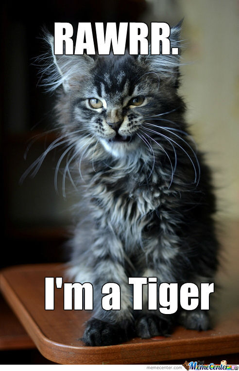 Rawrr I Am A Tiger Funny Meme Photo