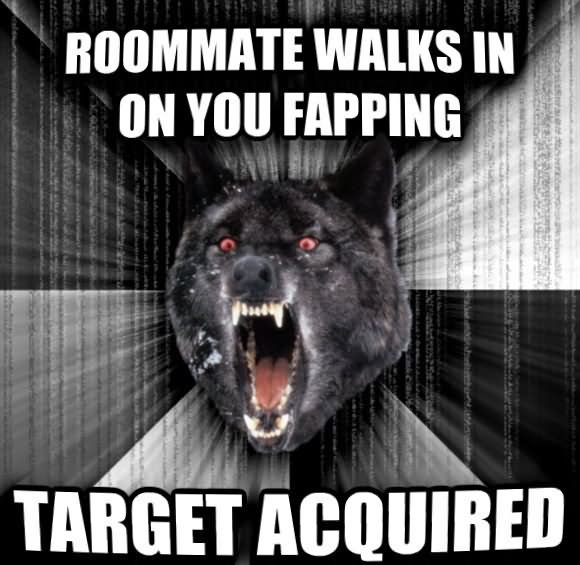 Roomate Walks In On You Fapping Funny Wolf Meme Picture