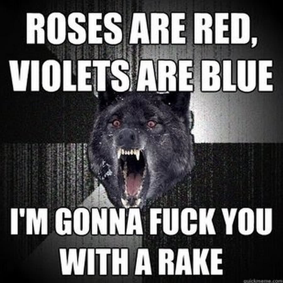 Roses Are Red Violets Are Blue I Am Gonna Fuck You With A Rake Funny Wolf Meme Image