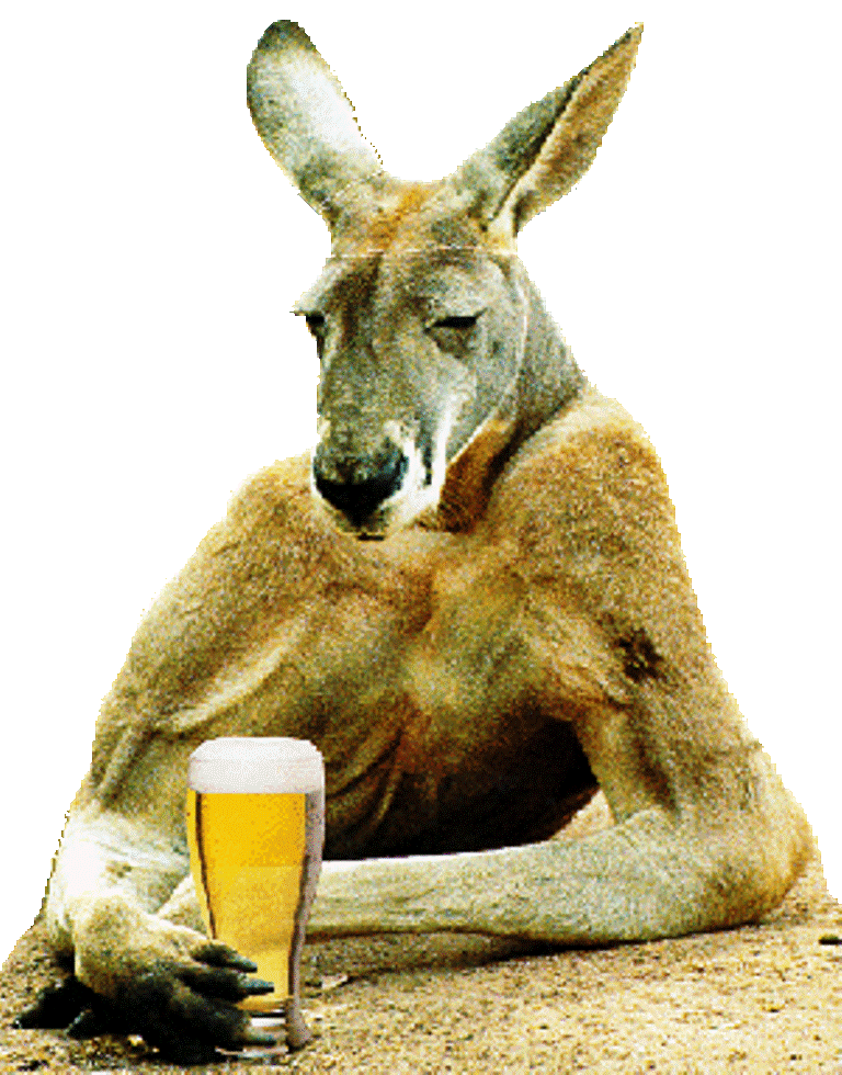 Sad Face Kangaroo With Glass Of Beer Funny Picture For Facebook