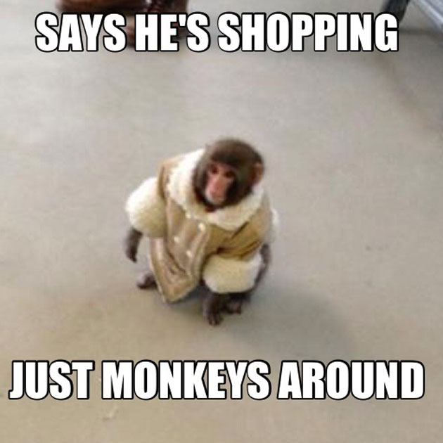 Says He's Shopping Just Monkeys Around Funny Monkey Meme Picture