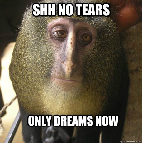 Shh No Tears Only Dreams Now Funny Monkey Meme Picture