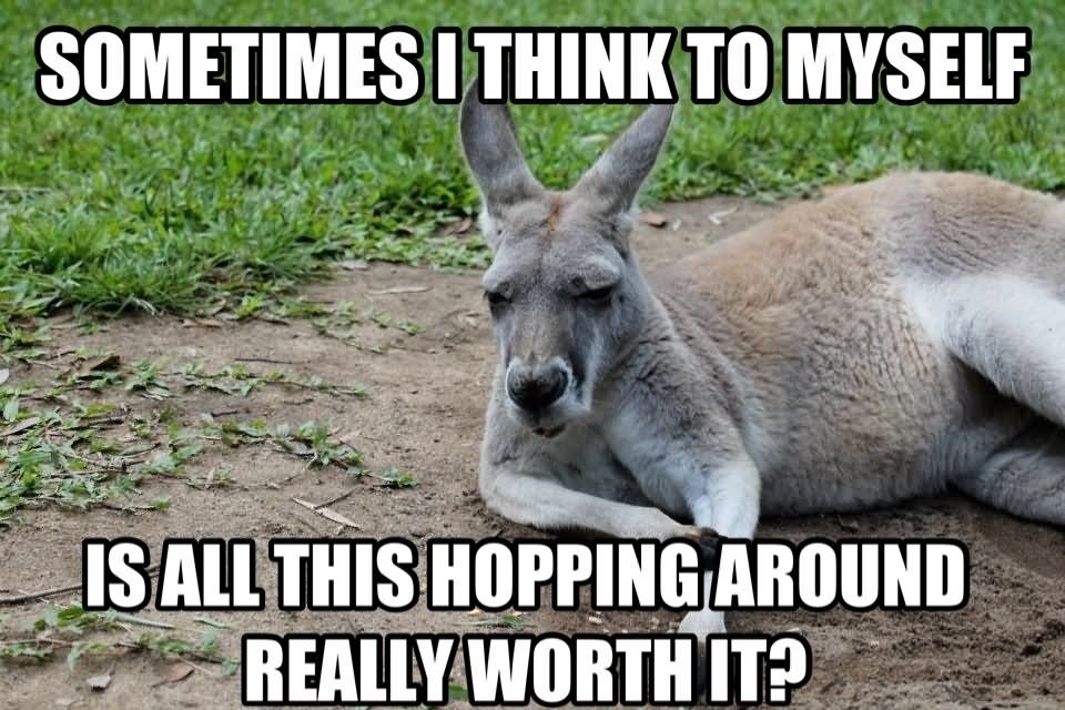 Sometimes I Think To Myself Funny Kangaroo Meme Picture