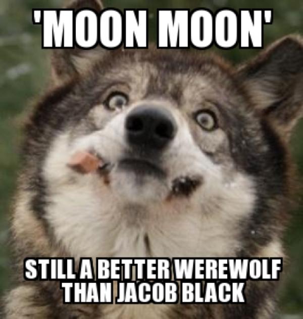 Still A Better Were Wolf Than Jacob Black Funny Wolf Meme Image