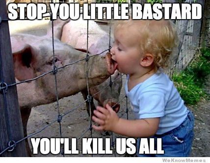 Stop You Little Bastard You Will Kill Us All Funny Pig Meme Image