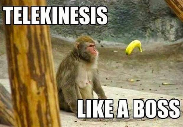 Telekinesis Like A Like Boss Funny Monkey Meme Image
