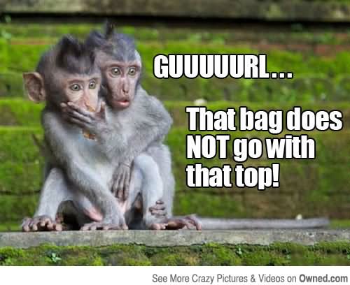 That Bag Does Not Go With That Top Funny Monkey Meme Image