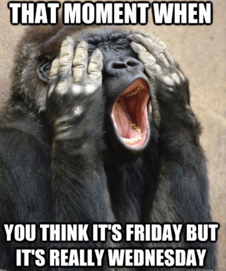 That Moment When You Think Friday But It's Really Wednesday Funny Monkey Meme Image