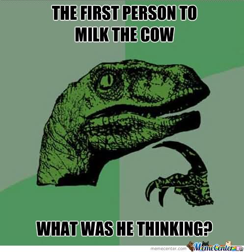 The First Person To Milk The Cow What Was He Thinking Funny Meme Photo