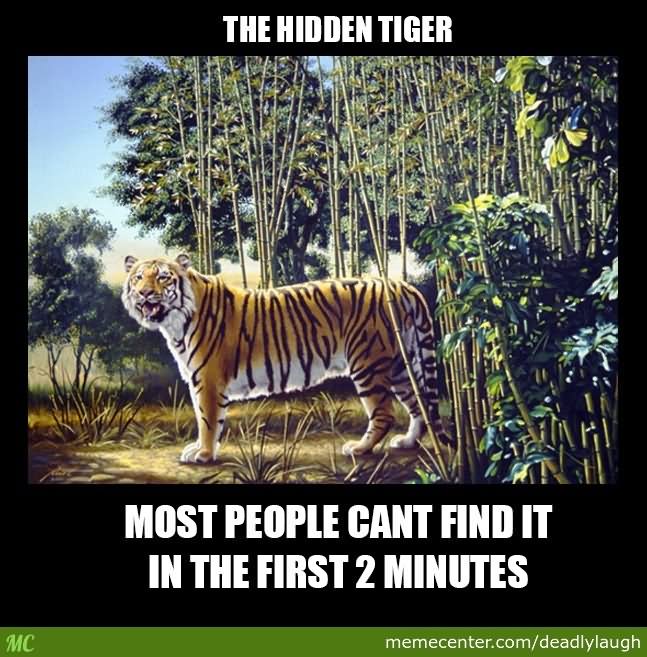 The Hidden Tiger Funny Meme Image