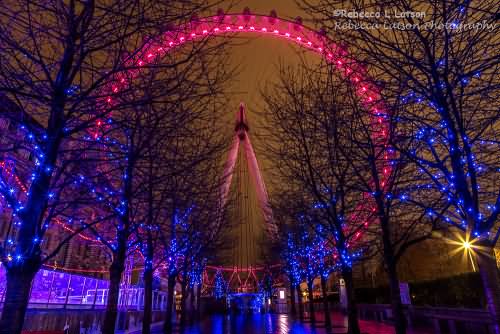 The London Eye Night Picture
