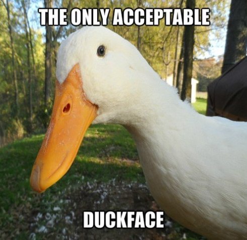 The Only Acceptable Duckface Funny Meme Image