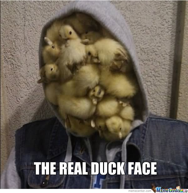 The Real Duck Face Funny Meme Image
