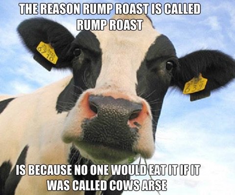 The Reason Rump Roast Is Called Rump Roast Funny Cow Meme Picture