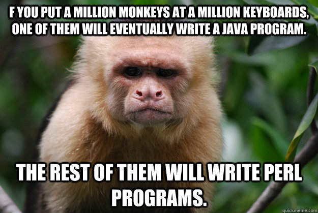 The Rest Of The Will Write Perl Programs Funny Monkey Meme Picture