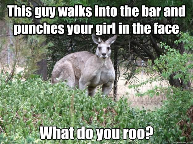 This Guy Walks Into The Bar And Punches Your Girls In The Face What Do You Roo Funny Kangaroo Meme Picture