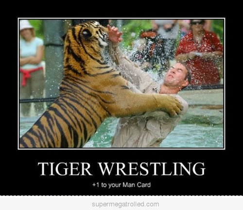 Tiger Wrestling Funny Meme Poster