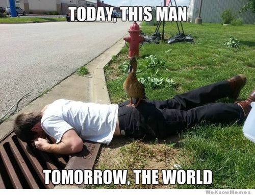 Today This Man Tomorrow The World Funny Duck Meme Picture