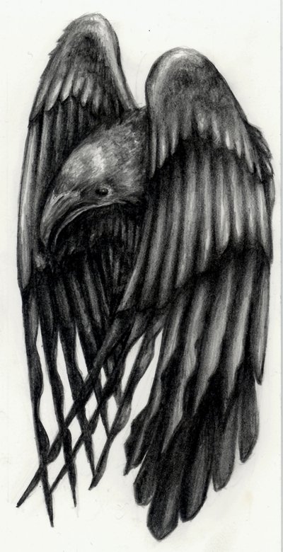 Traditional Raven Tattoo Design by Corviid