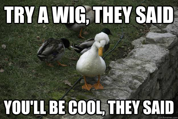 Try A Wig They Said You Will Be Cool They Said Funny Duck Meme Picture.