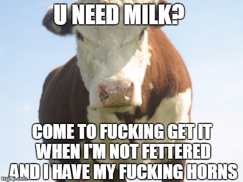 Very Funny Cow Meme Image