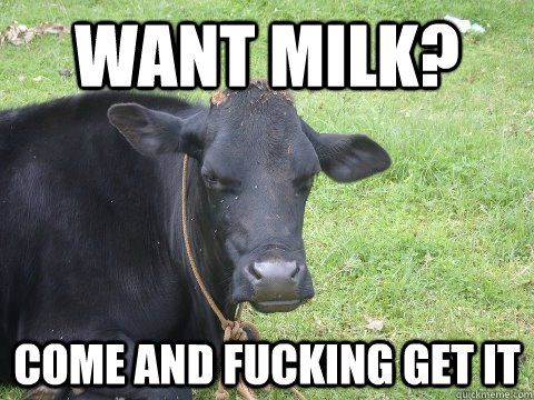 Want Milk Come And Fucking Get It Funny Cow Meme Picture For Facebook.