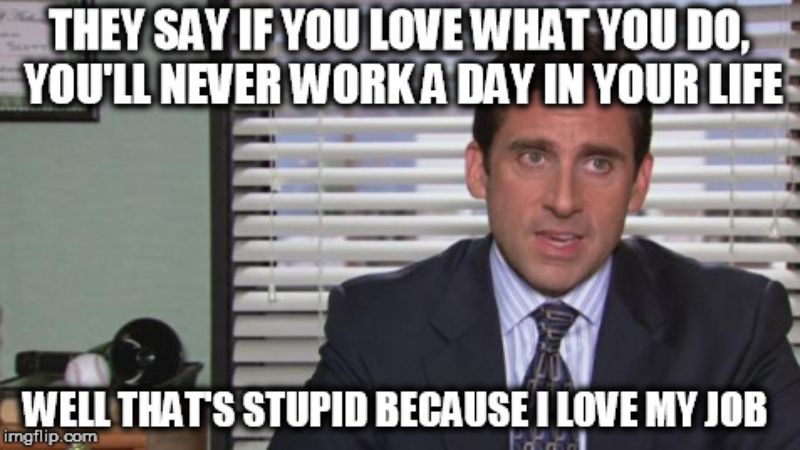 Well That's Stupid Because I Love My Job Funny Office Meme Image